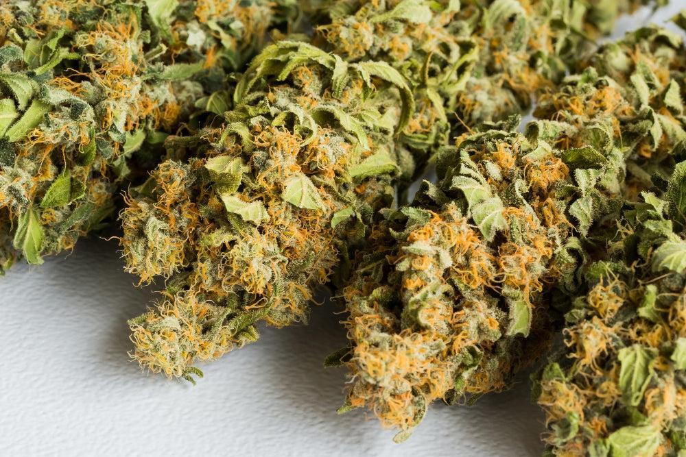 10-OH-HHC: Voordelen en Veiligheid van de Nieuwe Cannabinoïde-Canapuff