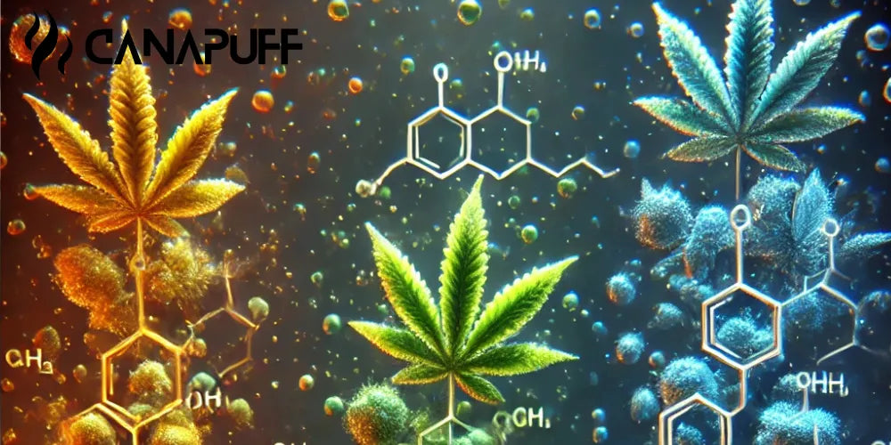 HHC vs HHCO vs HHCP: Potentie, Effecten en Chemie-Canapuff
