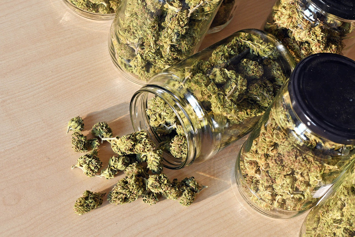 Glazen potten gevuld met gedroogde cannabisbloemen op een houten ondergrond