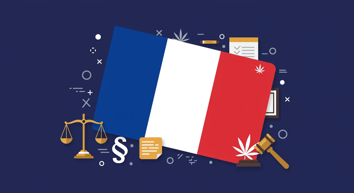 Franse vlag met juridische elementen erop