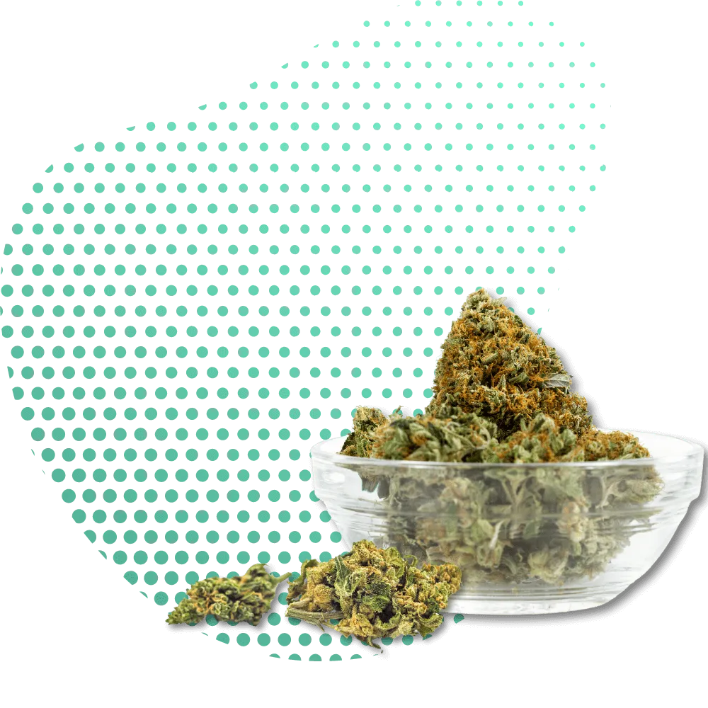 10-OH-HHC Bloemen-Canapuff