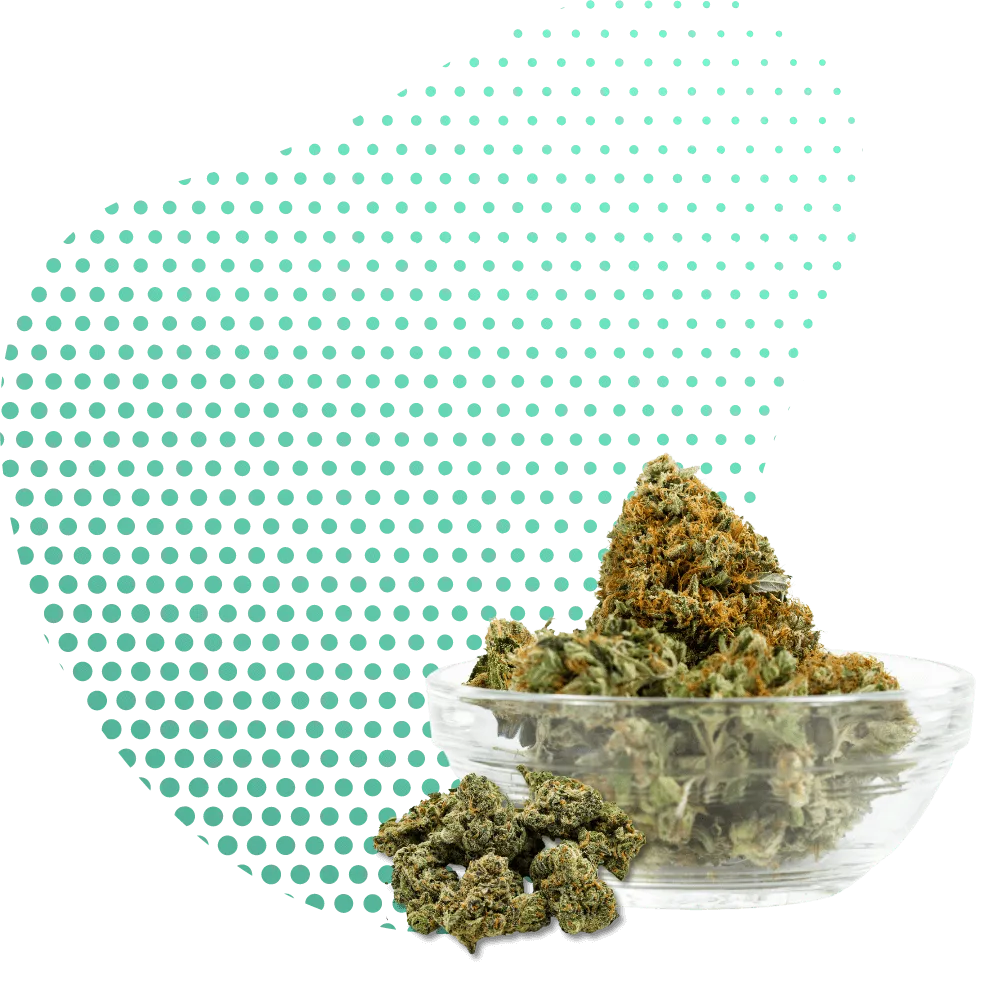 THC-H Bloemen-Canapuff