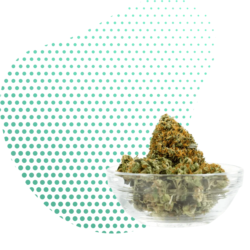 THC-B Bloemen-Canapuff