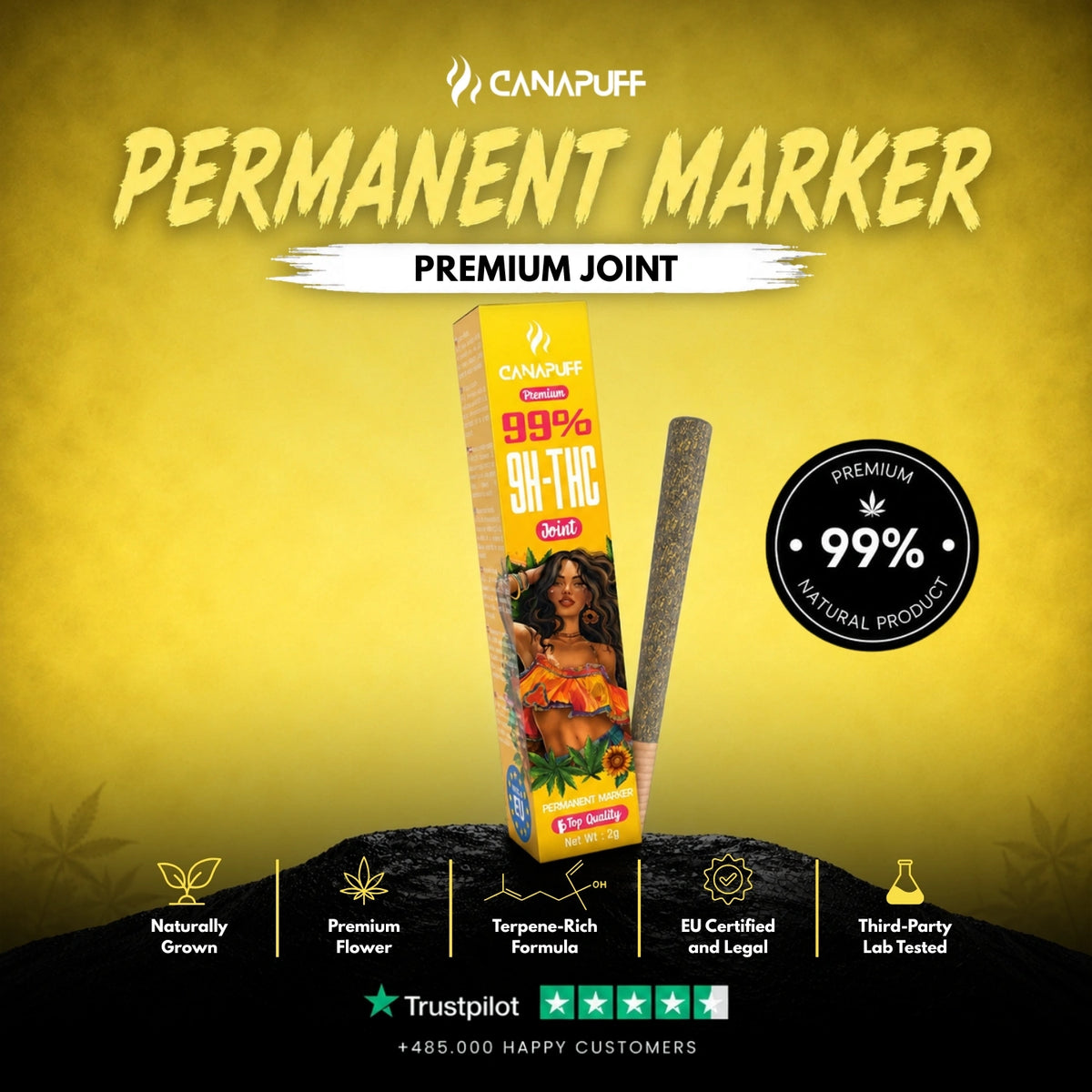 9H-THC Joint Permanent Marker 99% – voorgerolde joint, foto 2