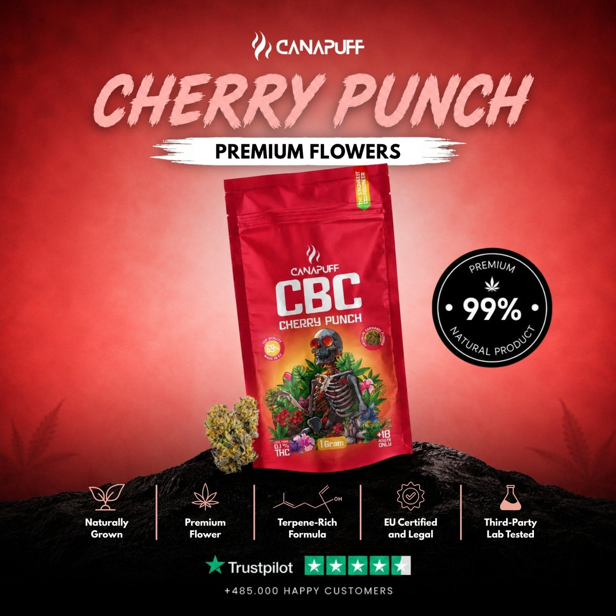 CBC Bloemen Cherry Punch 69% – bloemtoppen, foto 2