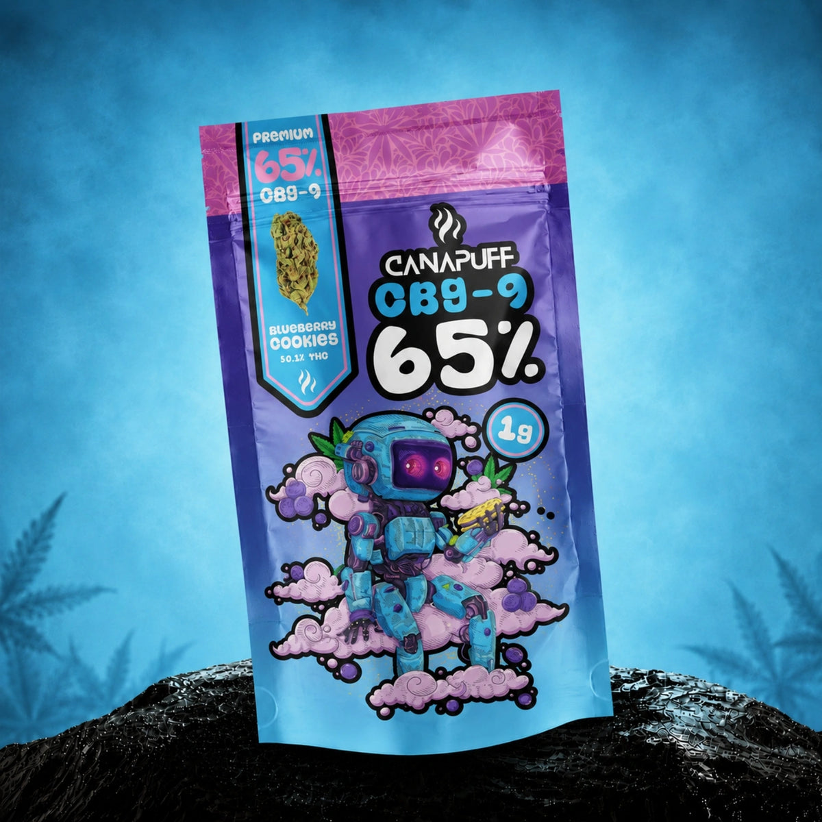Canapuff CBG9 Bloemen Blueberry Cookie 65% zakje