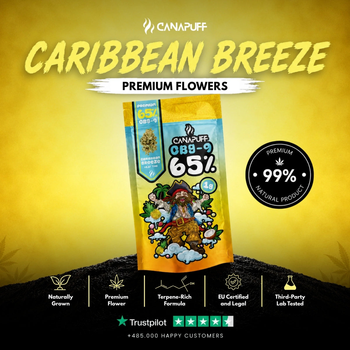 CBG9 Bloemen Caribbean Breeze 65% – bloemtoppen, foto 2