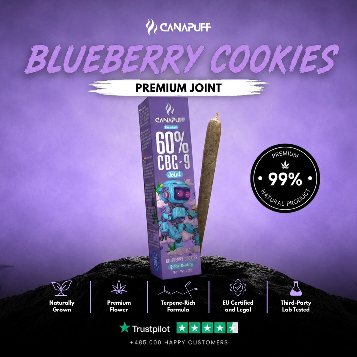 CBG9 Joint Blueberry Cookies 60% 2g – voorgerolde joint, foto 2