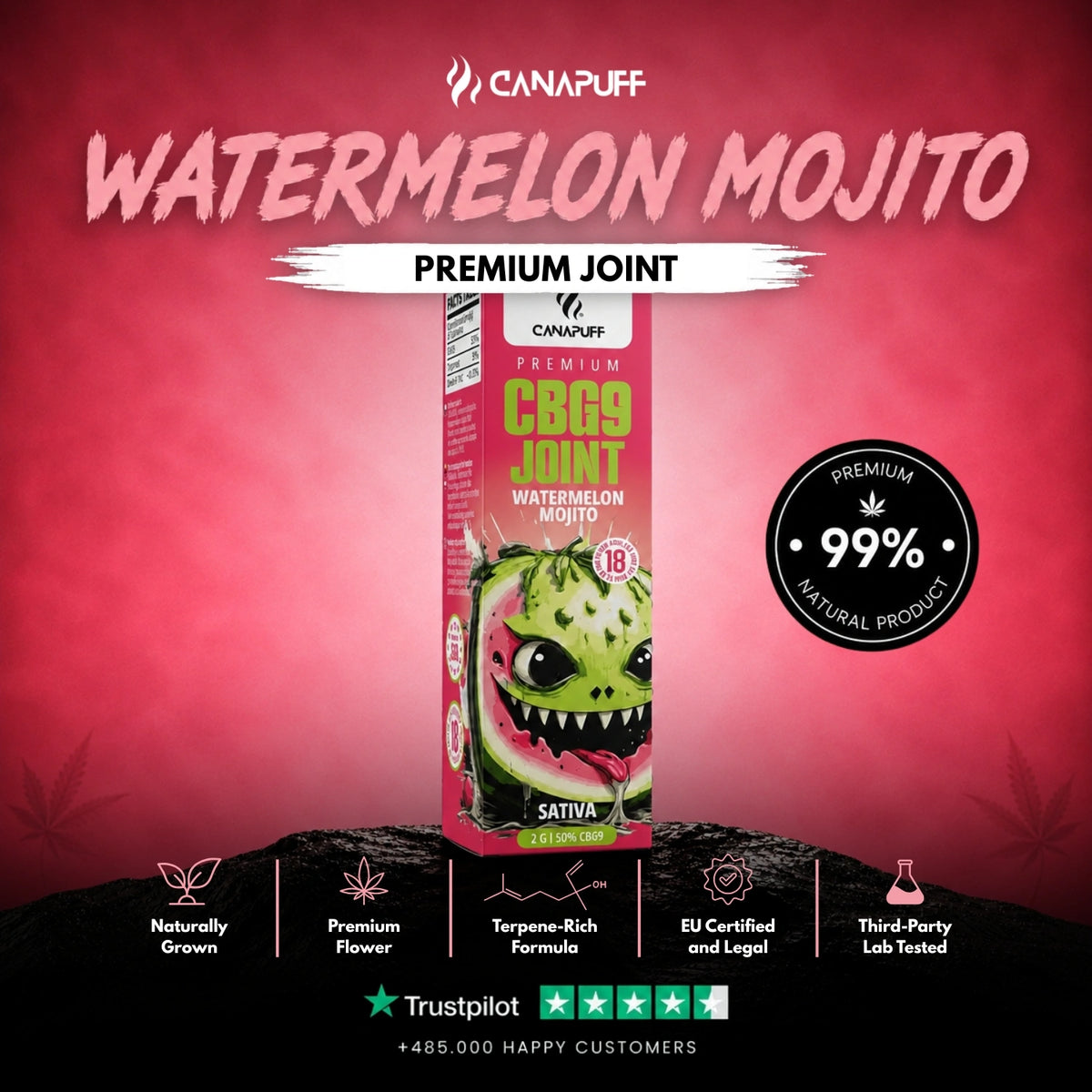 CBG9 Joint Watermelon Mojito 50% 2g – voorgerolde joint, foto 2