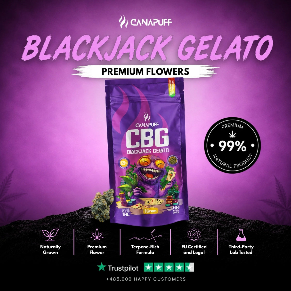CBG Bloemen Blackjack Gelato 69% – bloemtoppen, foto 2