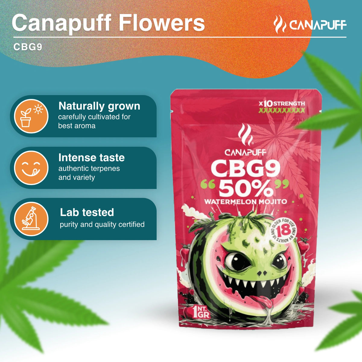 Watermelon Mojito 50% - CBG9 Bloemen - Canapuff