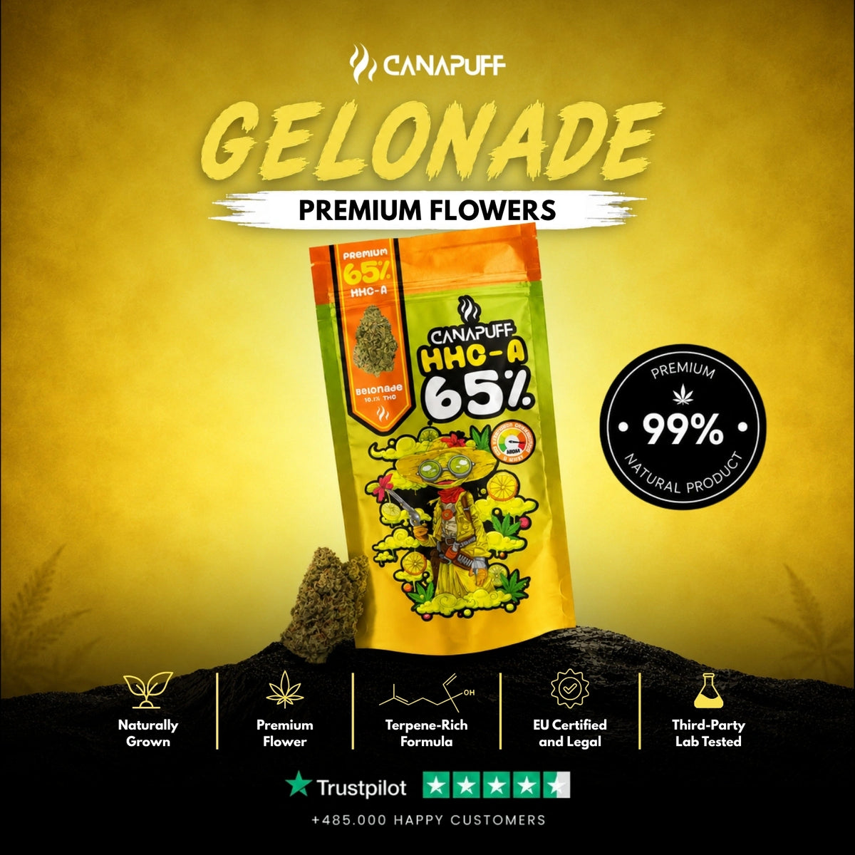 HHC-A Bloemen Gelonade 65% – bloemtoppen, foto 2