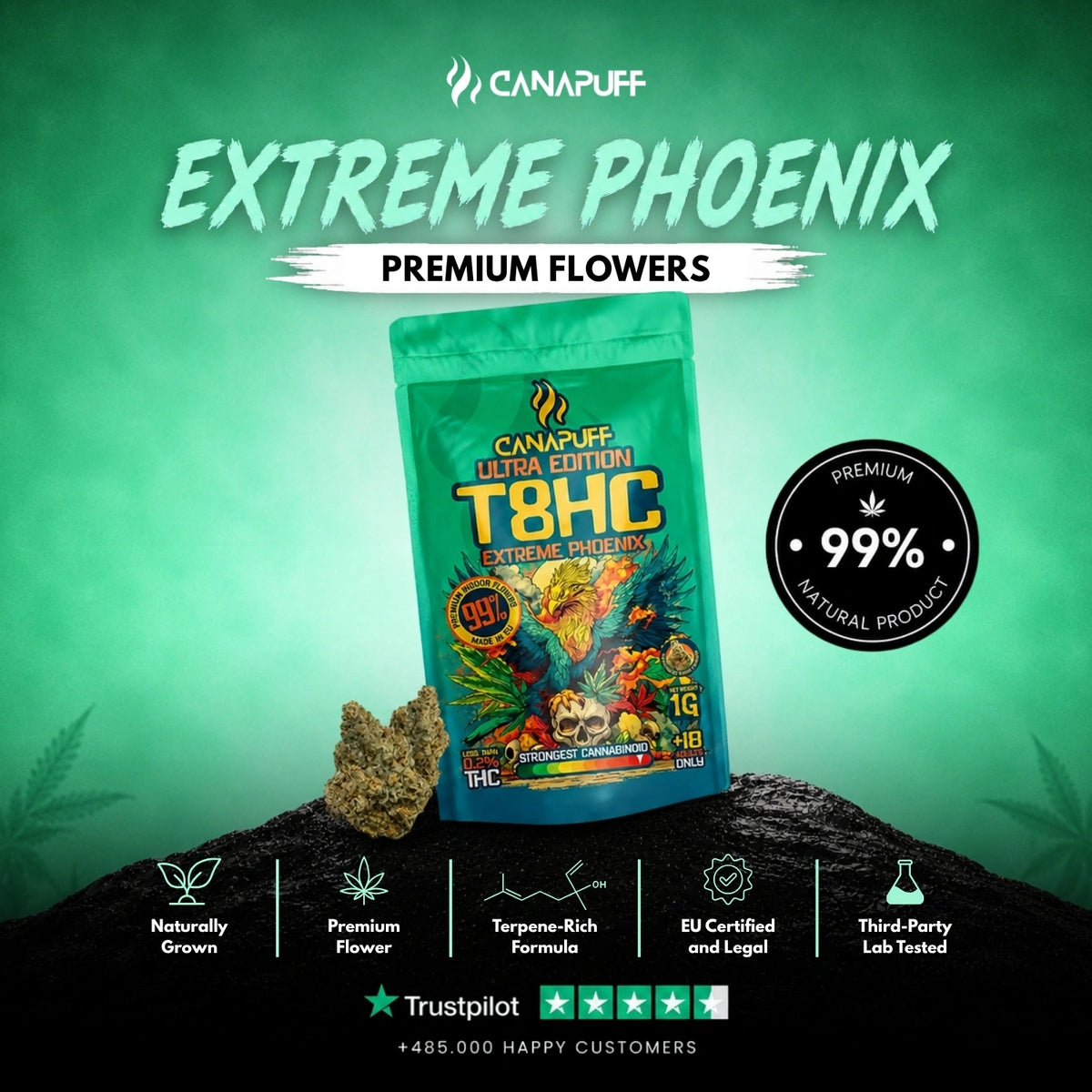 T8HC Bloemen Extreme Phoenix 99% – bloemtoppen, foto 2