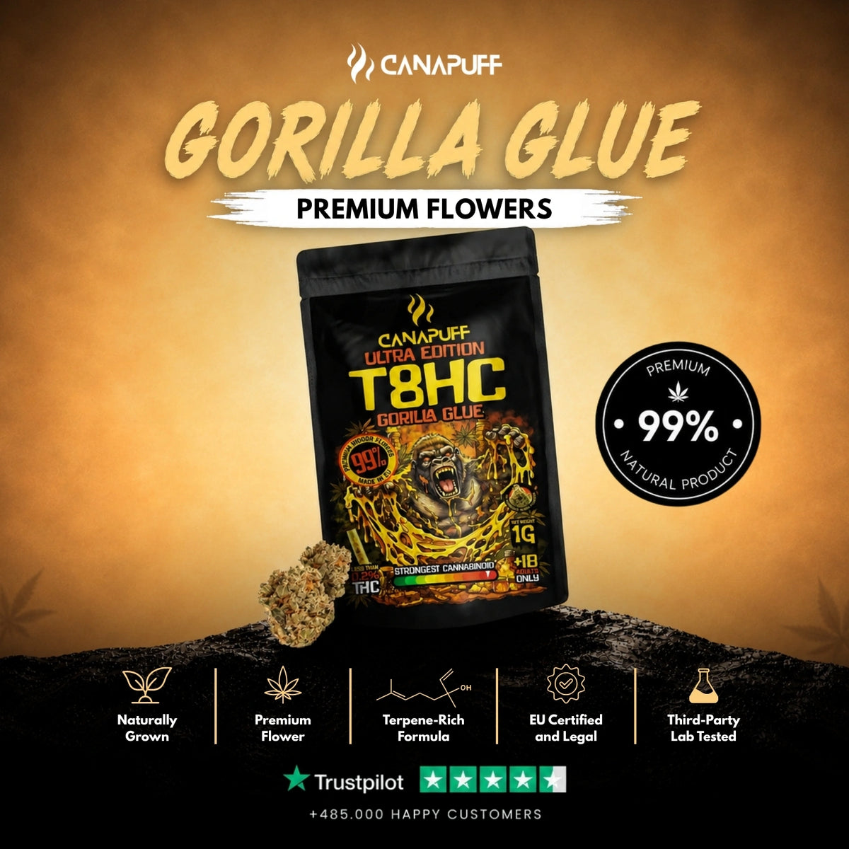 T8HC Bloemen Gorilla Glue 99% – bloemtoppen, foto 2