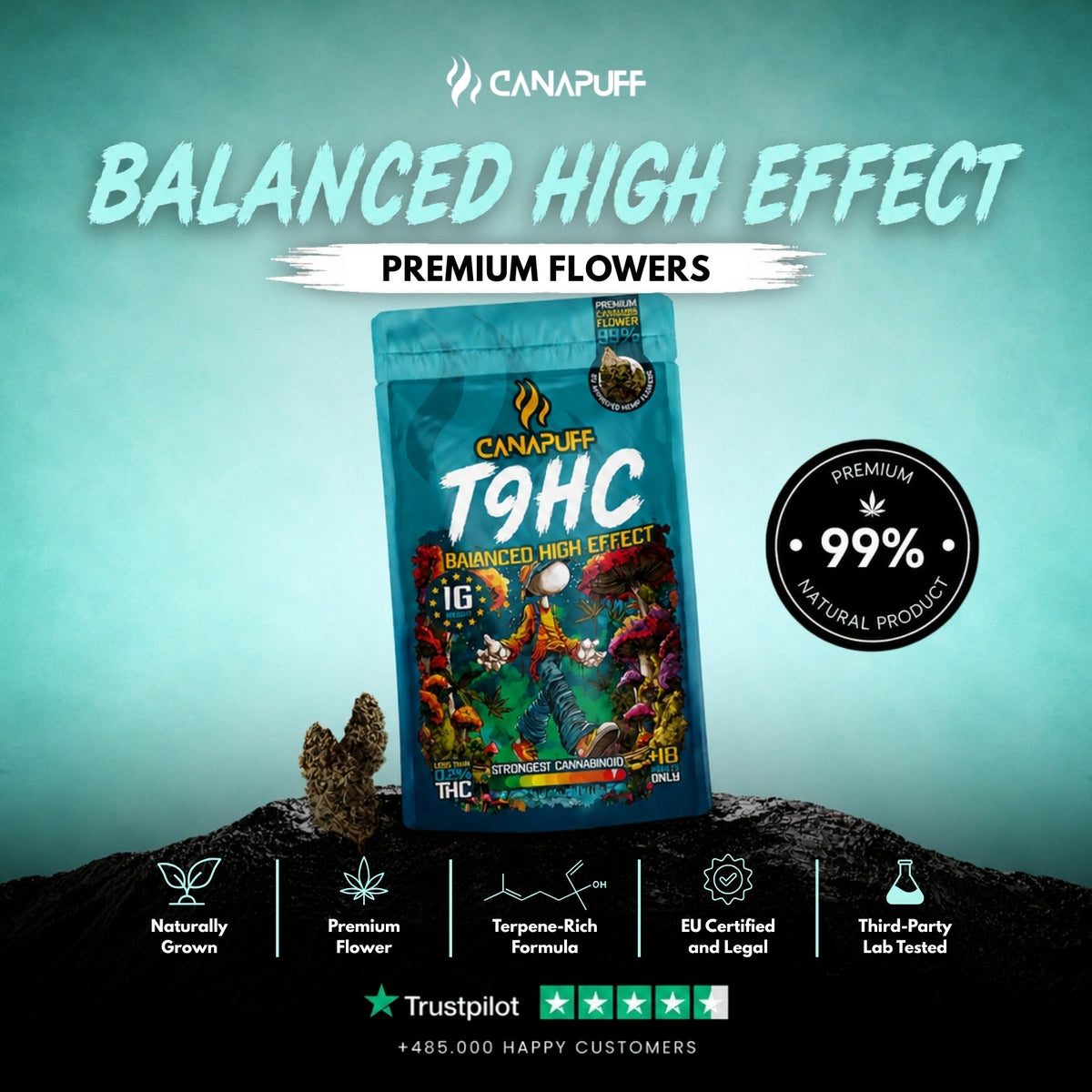 TⳊHC Bloemen Balanced 99% – bloemtoppen, foto 2