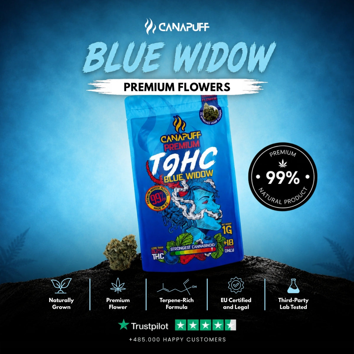 TⳊHC Bloemen Blue Widow 99% – bloemtoppen, foto 2