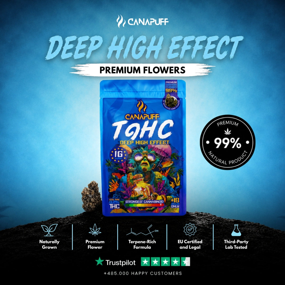 TⳊHC Bloemen Deep 99% – bloemtoppen, foto 2
