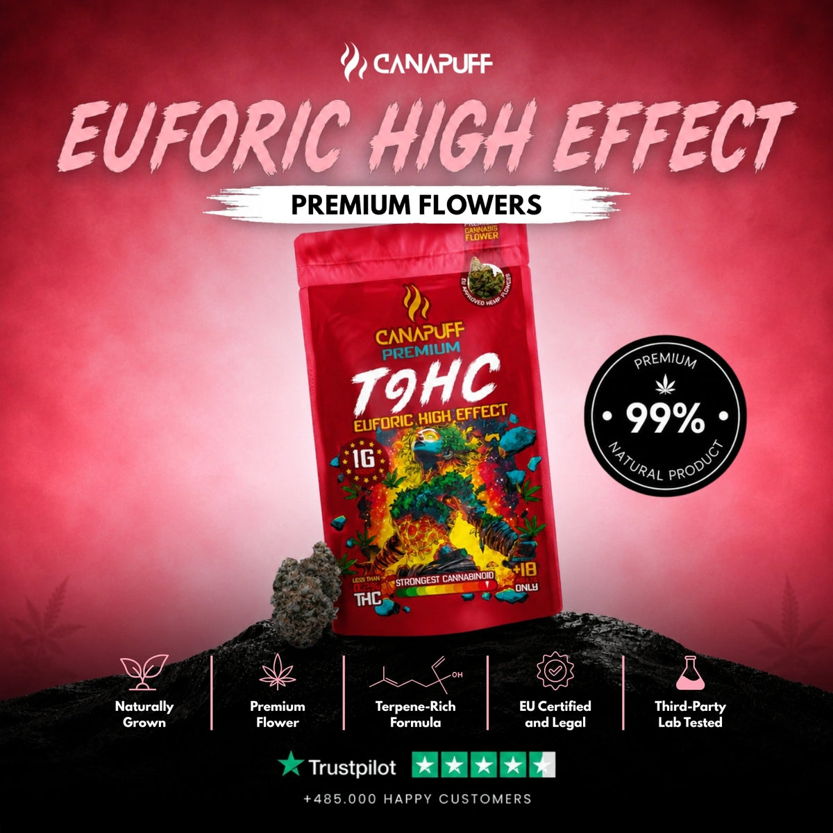TⳊHC Bloemen Euforic 99% – bloemtoppen, foto 2