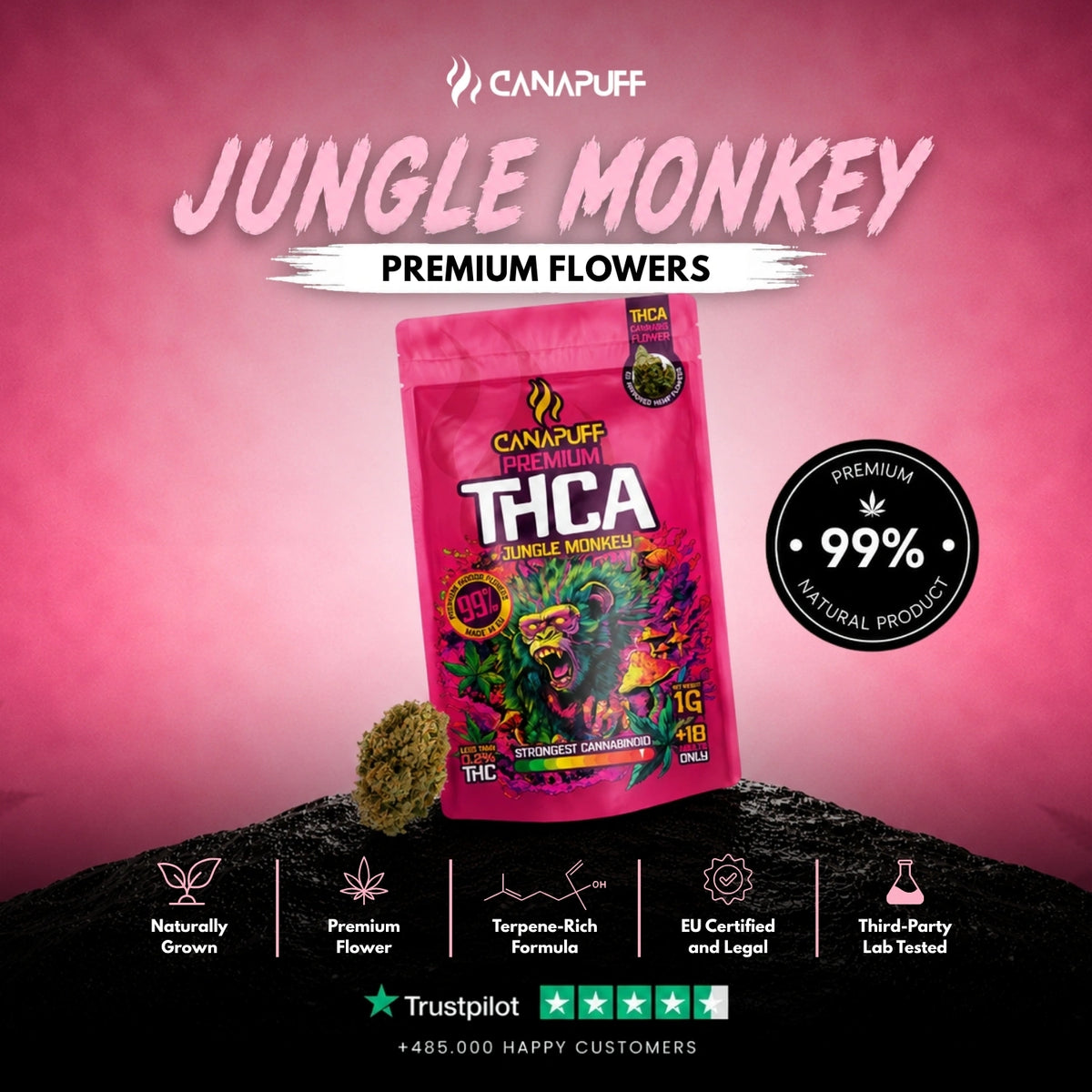 THCA Bloemen Jungle Monkey 99% – bloemtoppen, foto 2