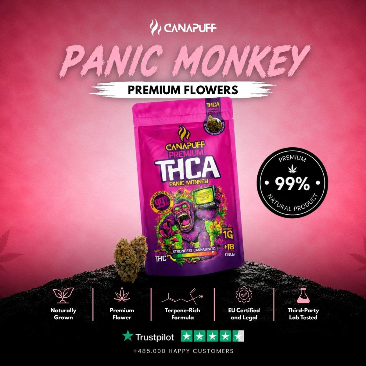 THCA Bloemen Panic Monkey 99% – bloemtoppen, foto 2