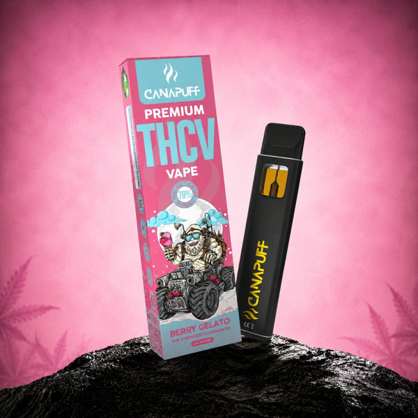 Canapuff THCv Vape 79% 1ml Berry Gelato wegwerppen met roze verpakking