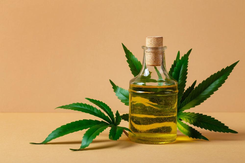 Hoe maak en gebruik je zelfgemaakte Cannabisolie-Canapuff