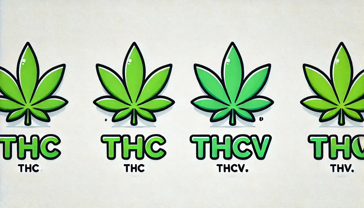 “THC vs THCv” lettering met cannabisbladeren in stripstijl.