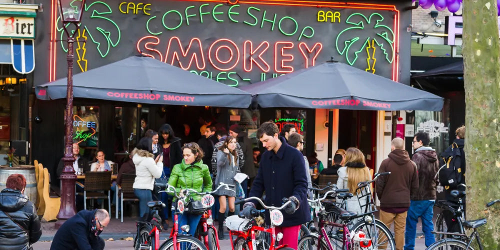 Top Coffeeshops in Amsterdam 2024: Beste plekken voor Cannabis-Canapuff