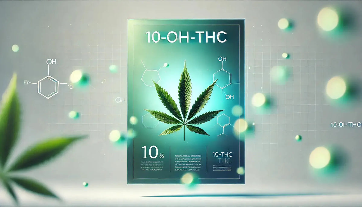 10-OH-THC verkennen: een mildere metaboliet met groot potentieel-Canapuff