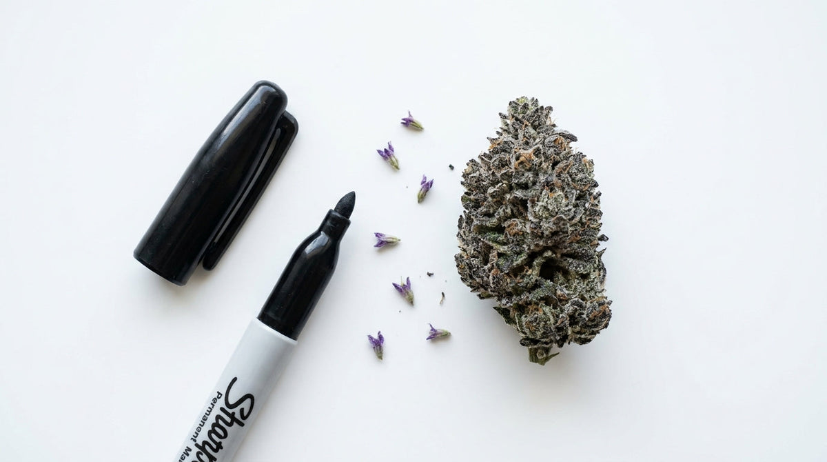 Geopende permanent marker naast een compacte Permanent Marker-cannabistop met paarse ondertonen