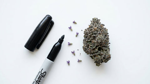 Permanent Marker Strain: Genetica, Effecten & Terpenenprofiel