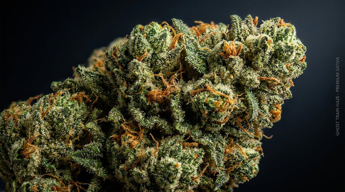 Ghost Train Haze Strain-gids — sativa cannabisbloem, terpenen en effecten