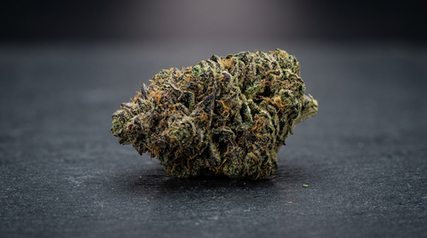 Gorilla Zkittlez Strain gids: Effecten, terpenen en genetica