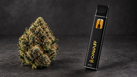 THCA Bloem vs THCA Vape: welk productformaat past bij jou?