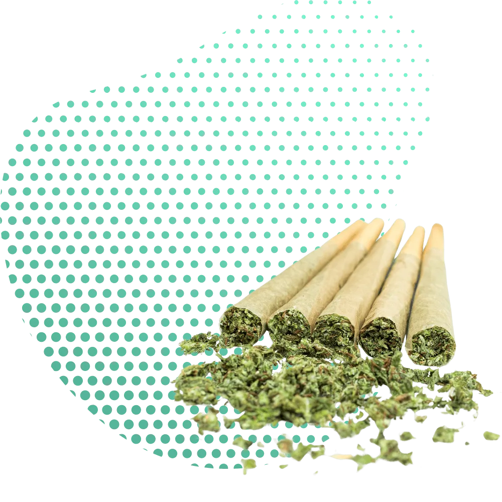 CBG9 Joints-Canapuff