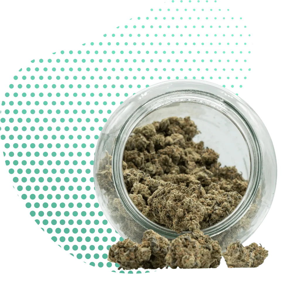 10-OH-THC Bloemen thcp-Canapuff
