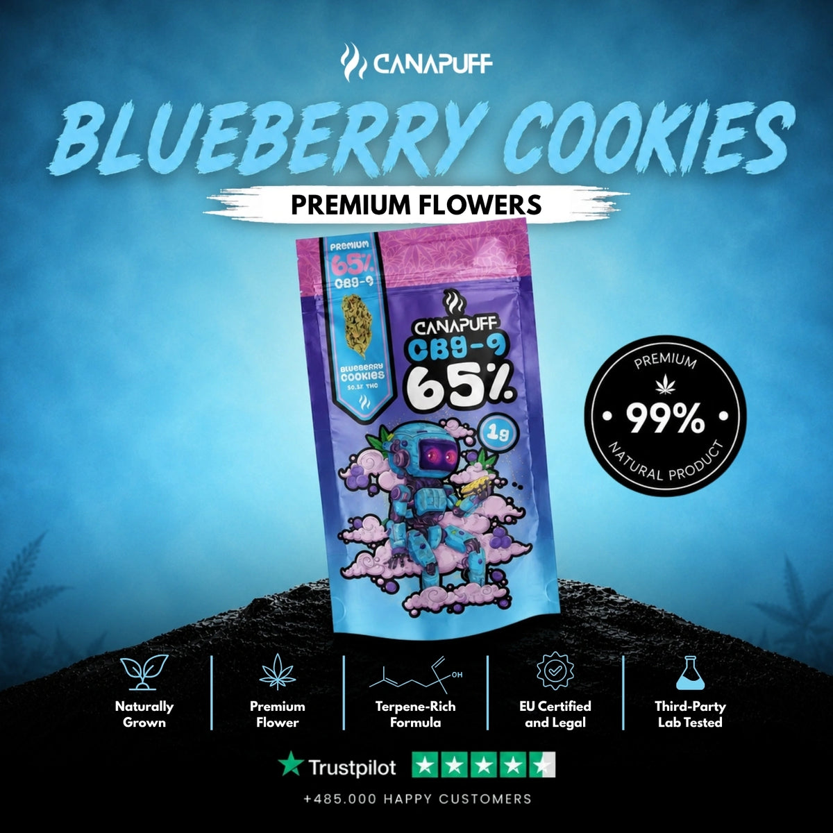 CBG9 Bloemen Blueberry Cookie 65% – bloemtoppen, foto 2