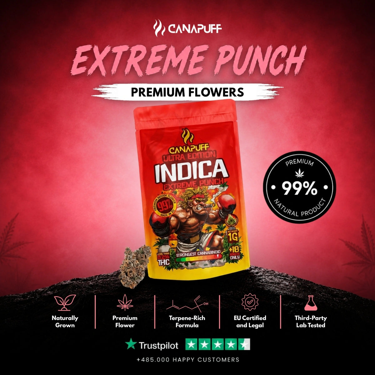 Indica Bloemen Extreme Punch Ultra Edition 99% – bloemtoppen, foto 2
