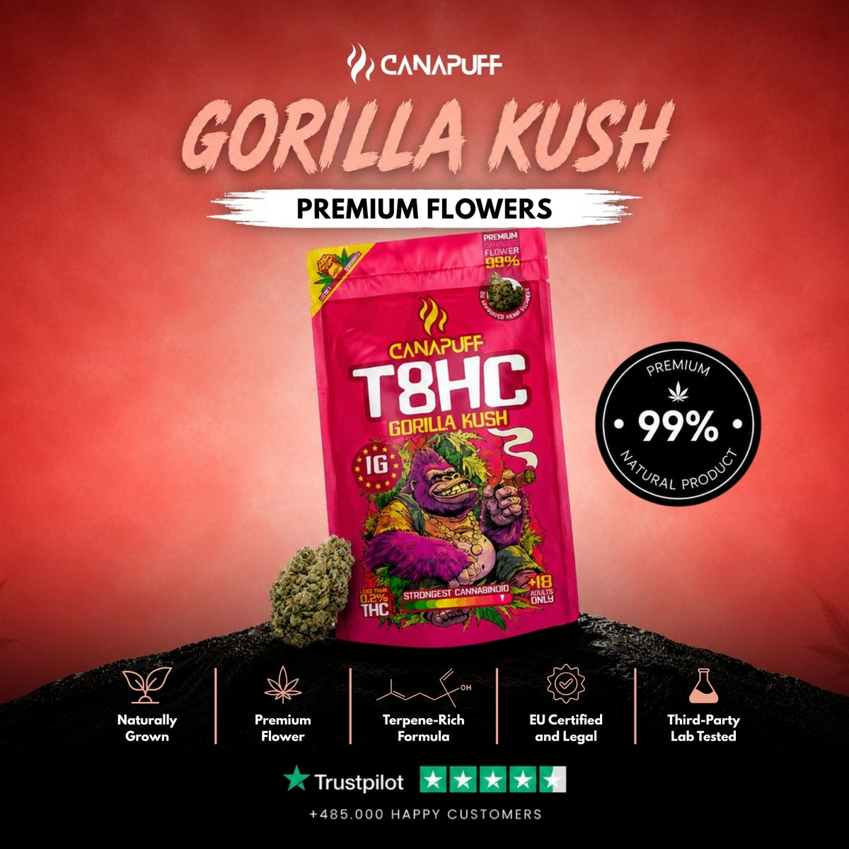 T8HC Bloemen Gorilla Kush 99% – bloemtoppen, foto 2