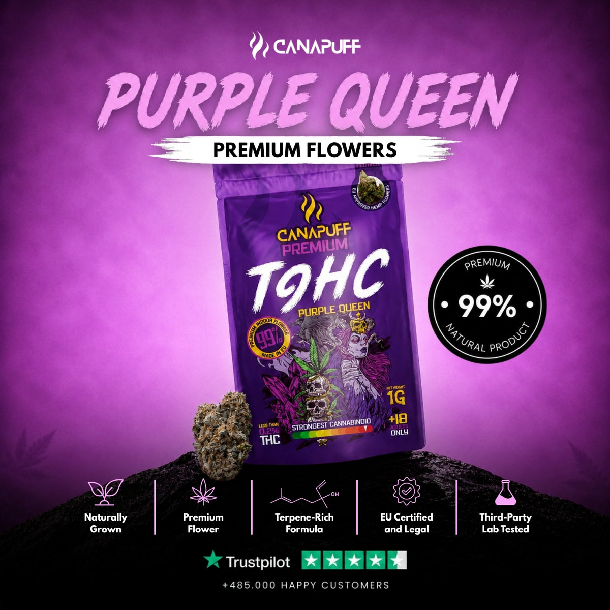 TⳊHC Bloemen Purple Queen 99% – bloemtoppen, foto 2