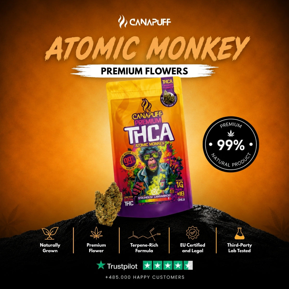 THCA Bloemen Atomic Monkey 99% – bloemtoppen, foto 2