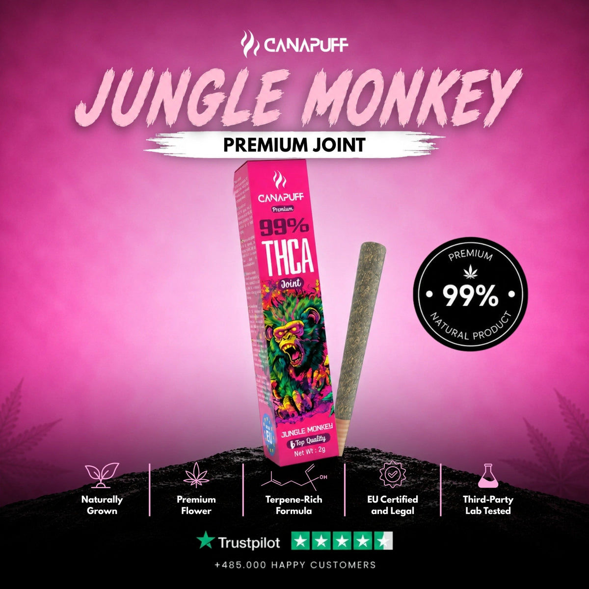 THCA Joint Jungle Monkey 99% 2g – voorgerolde joint, foto 2
