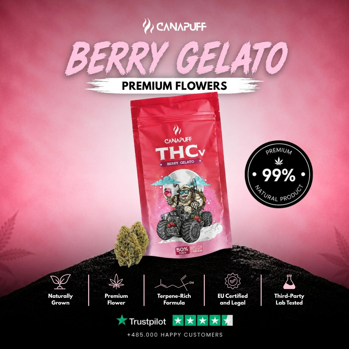 THCv Bloemen Berry Gelato 50% – bloemtoppen, foto 2