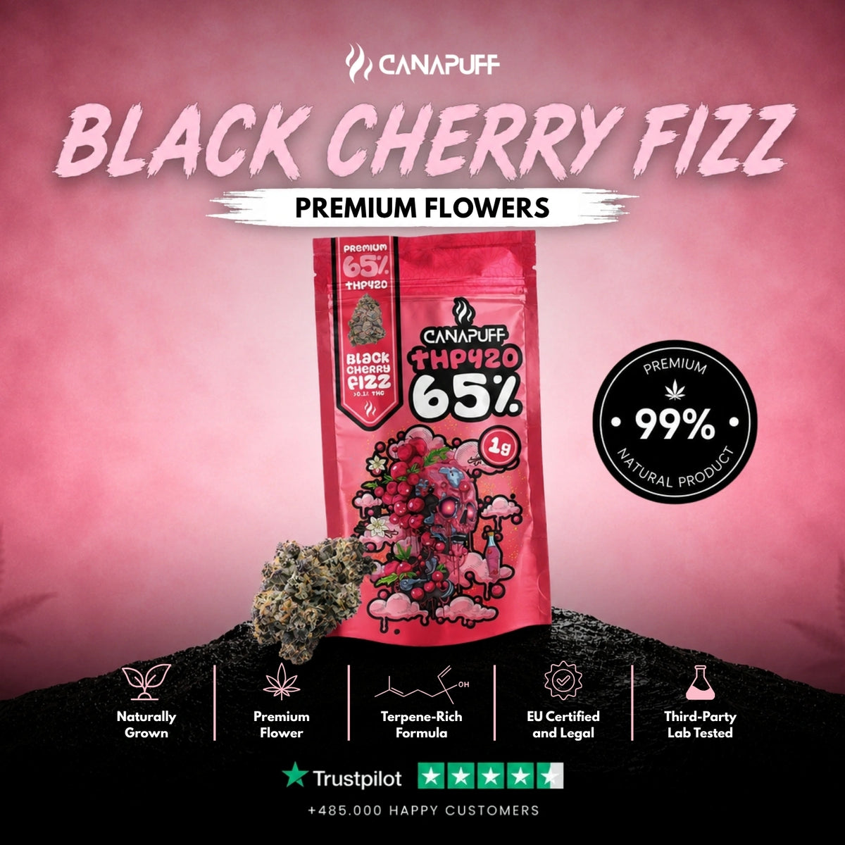 THP420 Bloemen Black Cherry Fizz 65% – bloemtoppen, foto 2