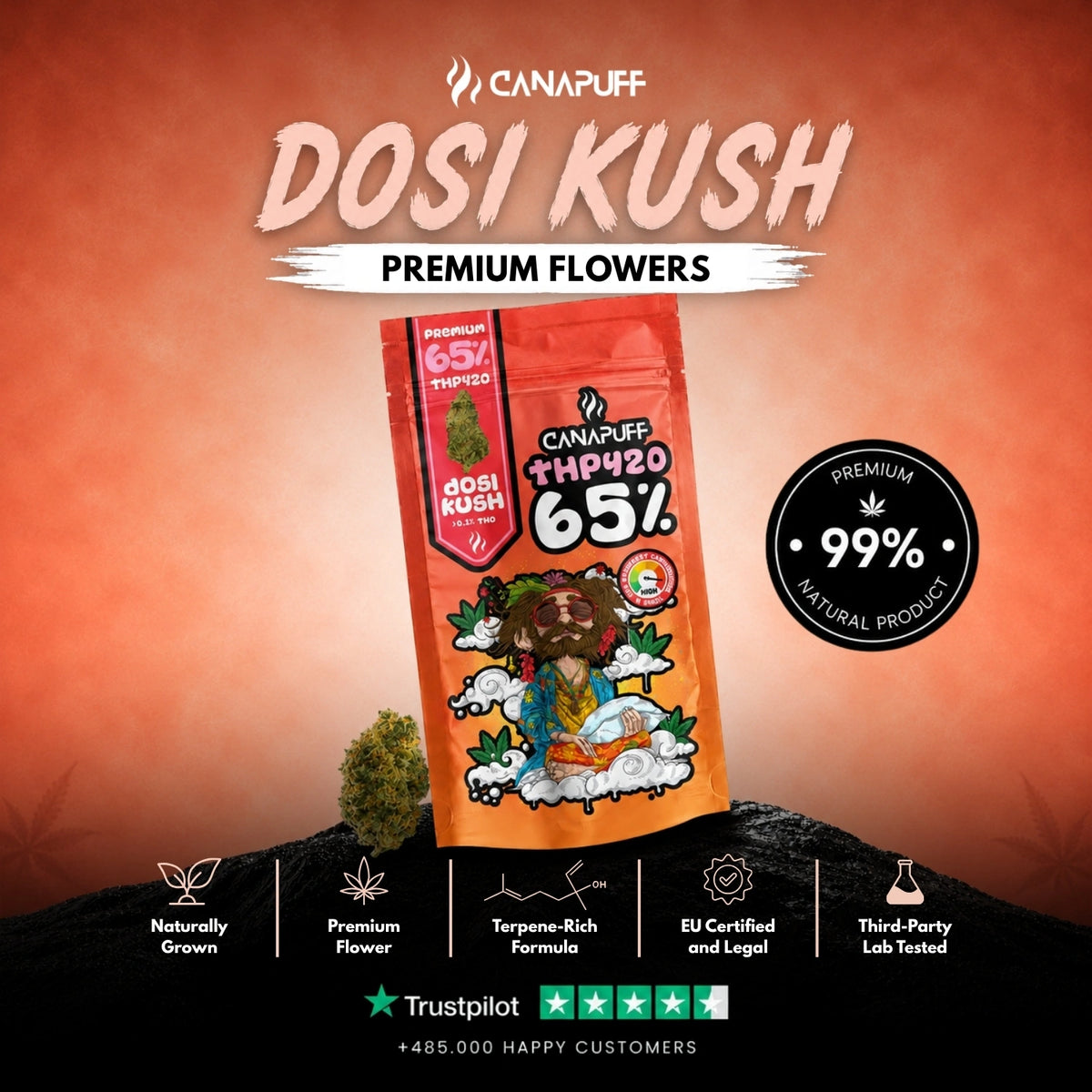 THP420 Bloemen Dosi Kush 65% – bloemtoppen, foto 2